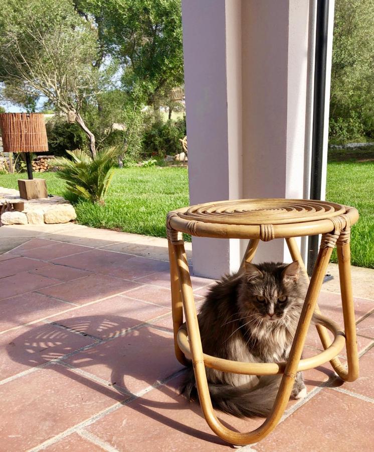 Hotel La Casa Menorca à Ferreries Extérieur photo